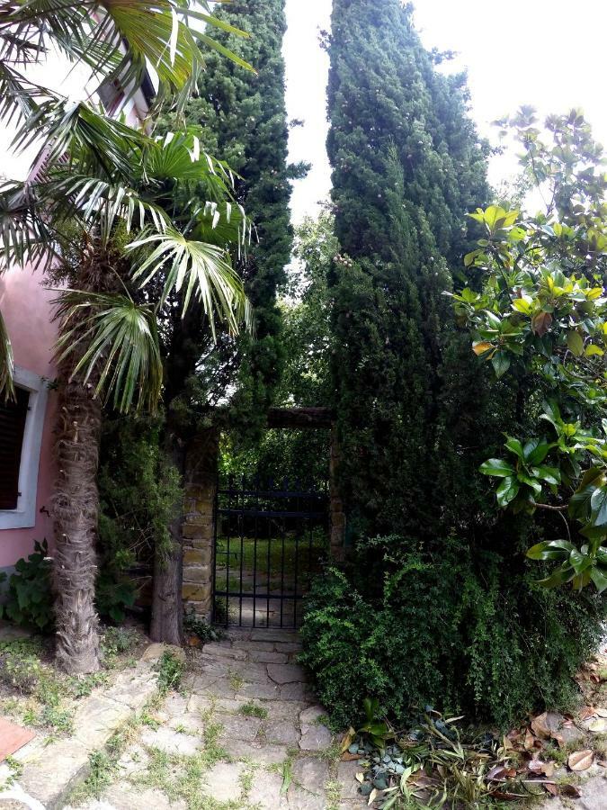 Traditional Istrian Stone House Smarje  Ngoại thất bức ảnh